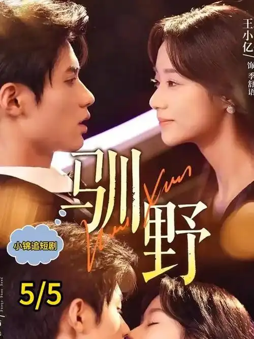 山海食光 美食治愈电视剧全集免费观看